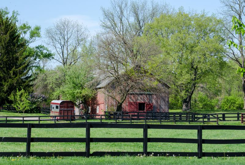 Barn Removal