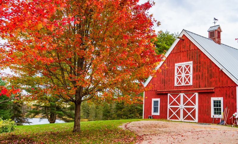 Barn Removal in Autumn